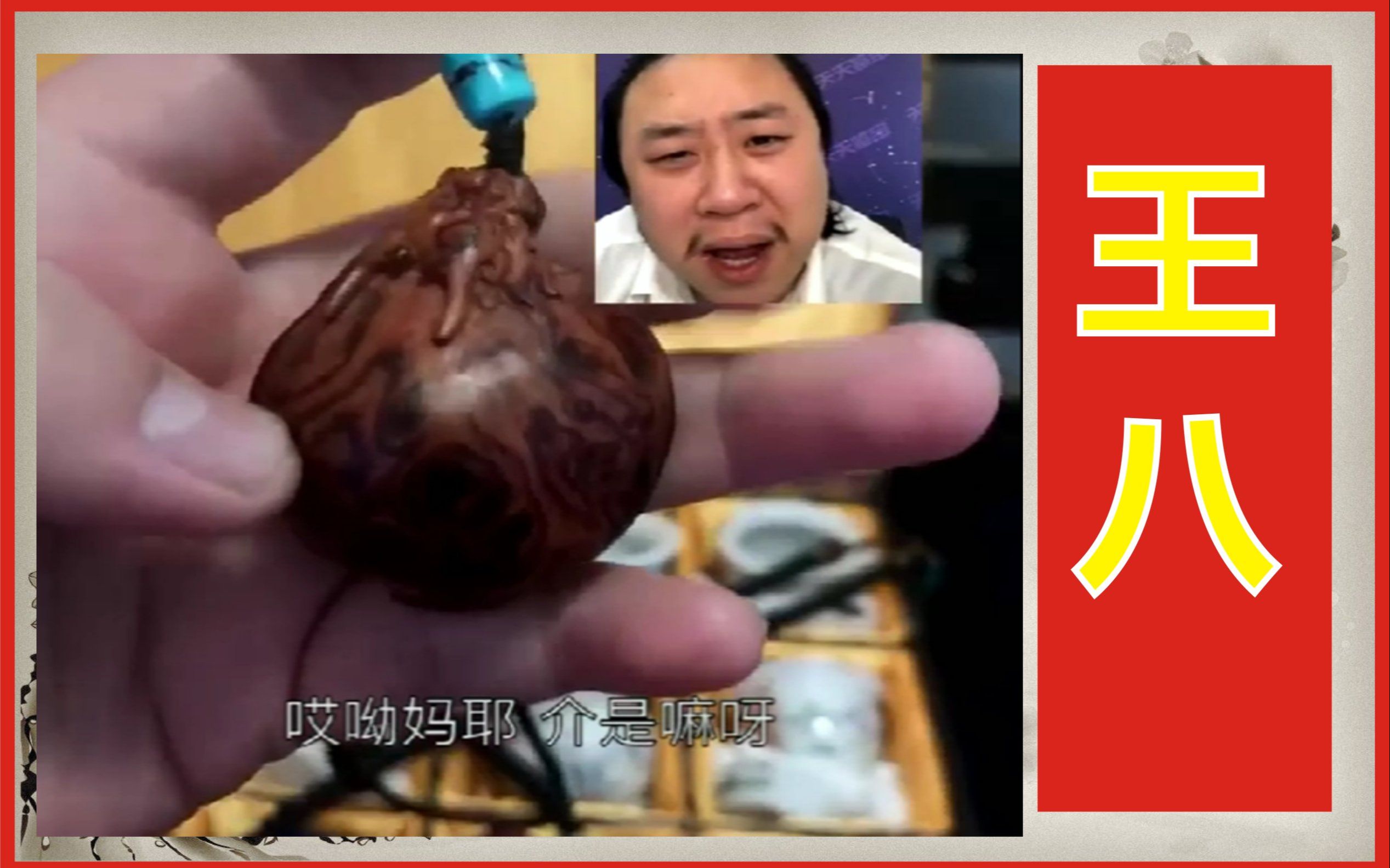 【天天鉴宝】妈耶,缩头玄武可不兴戴_哔哩哔哩_bilibili