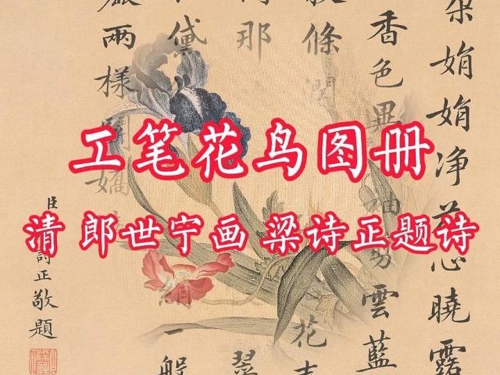 [图]清《工笔花鸟图册》 郎世宁画 梁诗正题诗