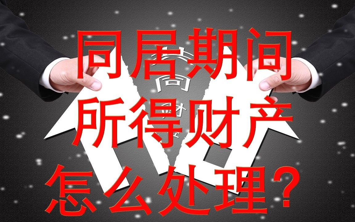 《讲故事学法典》之十——同居期间所得财产怎么处理?哔哩哔哩bilibili