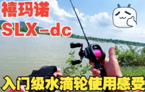 路亚入门级DC水滴轮，禧玛诺slx dc全称零炸线、零放枪，大小饵随便抛。