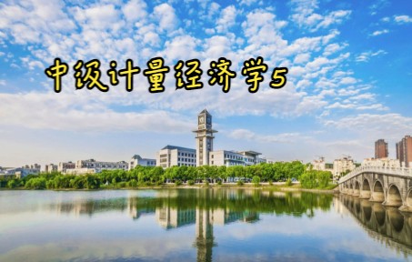 中级计量经济学5哔哩哔哩bilibili