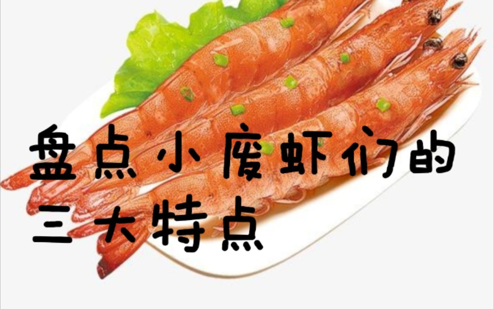 小废虾们为何如此猖狂盘点废虾们的三大特点
