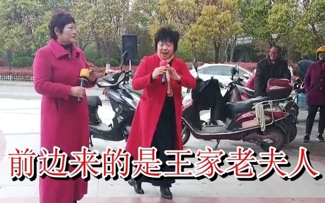 [图]淮剧《牙痕记》选段《金殿传》演唱顾翠芬葛爱萍 摄像袁俊红20210413