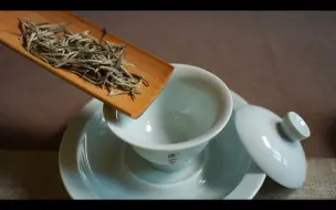 下载视频: 投茶口诀