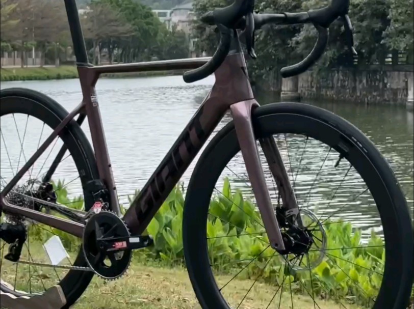 捷安特propel adv 1