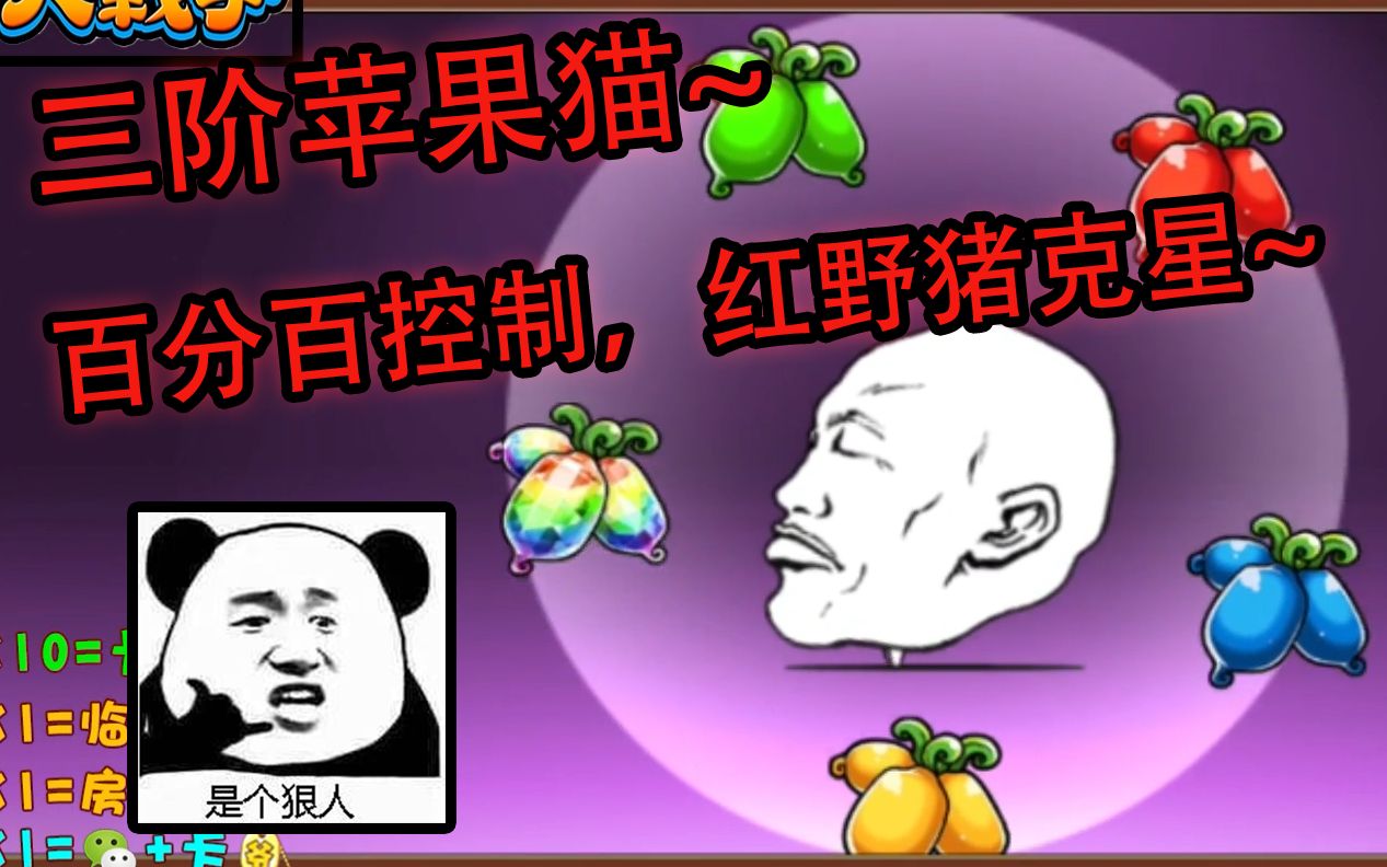 出现了~百分百定还是很强滴【猫咪大战争114】