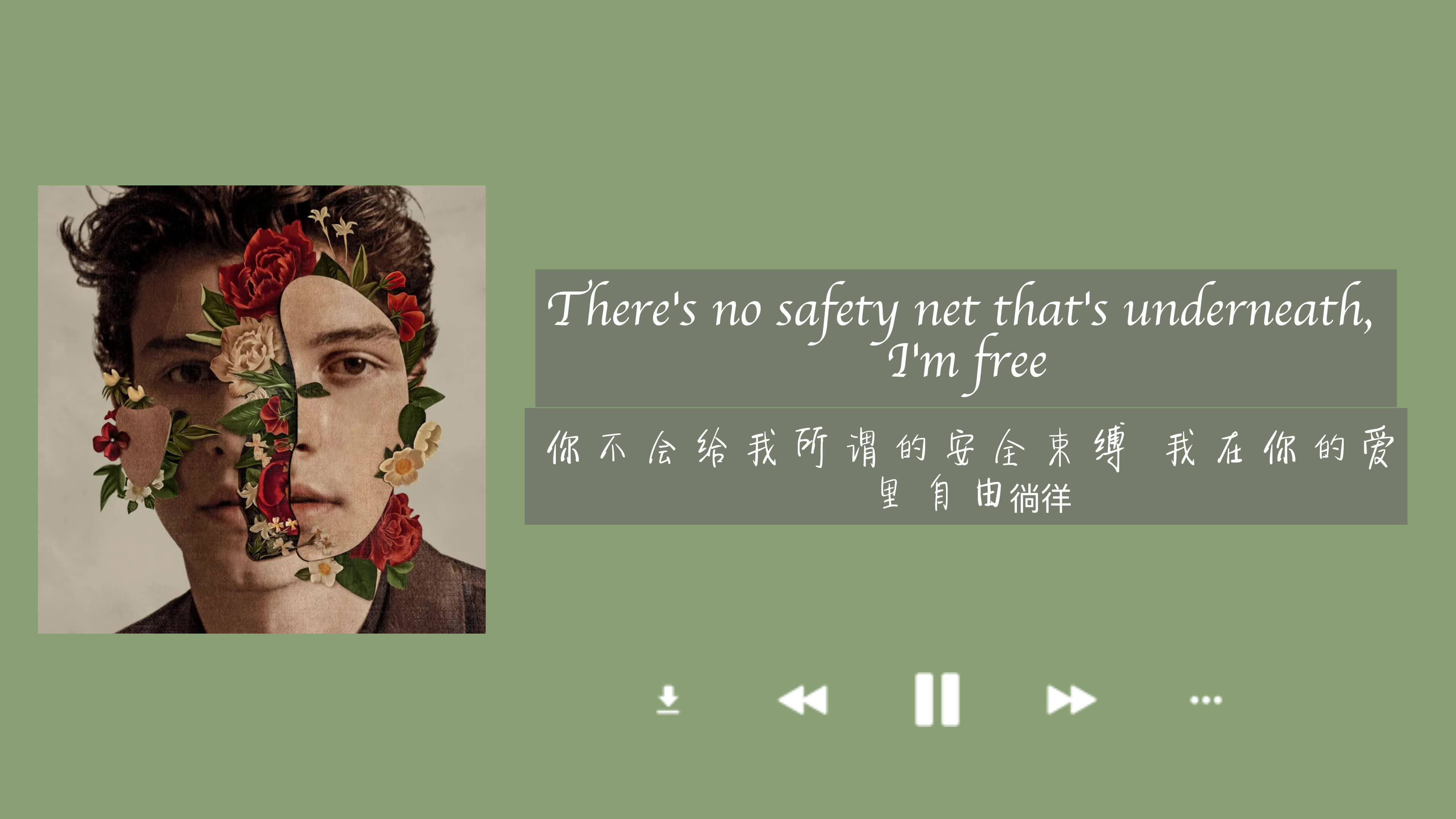 [图]Shawn Mendes-Fallin' All In You