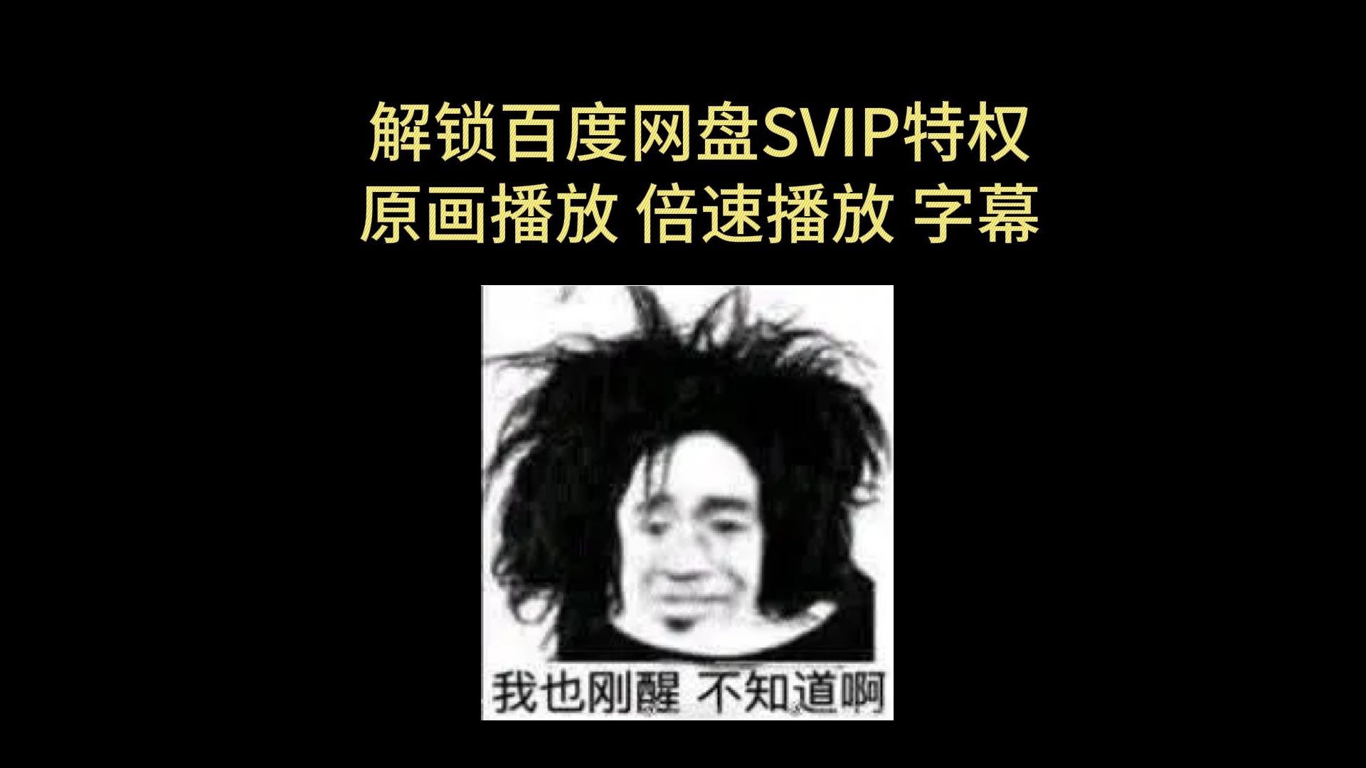 [图]2024 免费获取 百度网盘 svip特权 网盘 原画播放 倍速播放 字幕加载