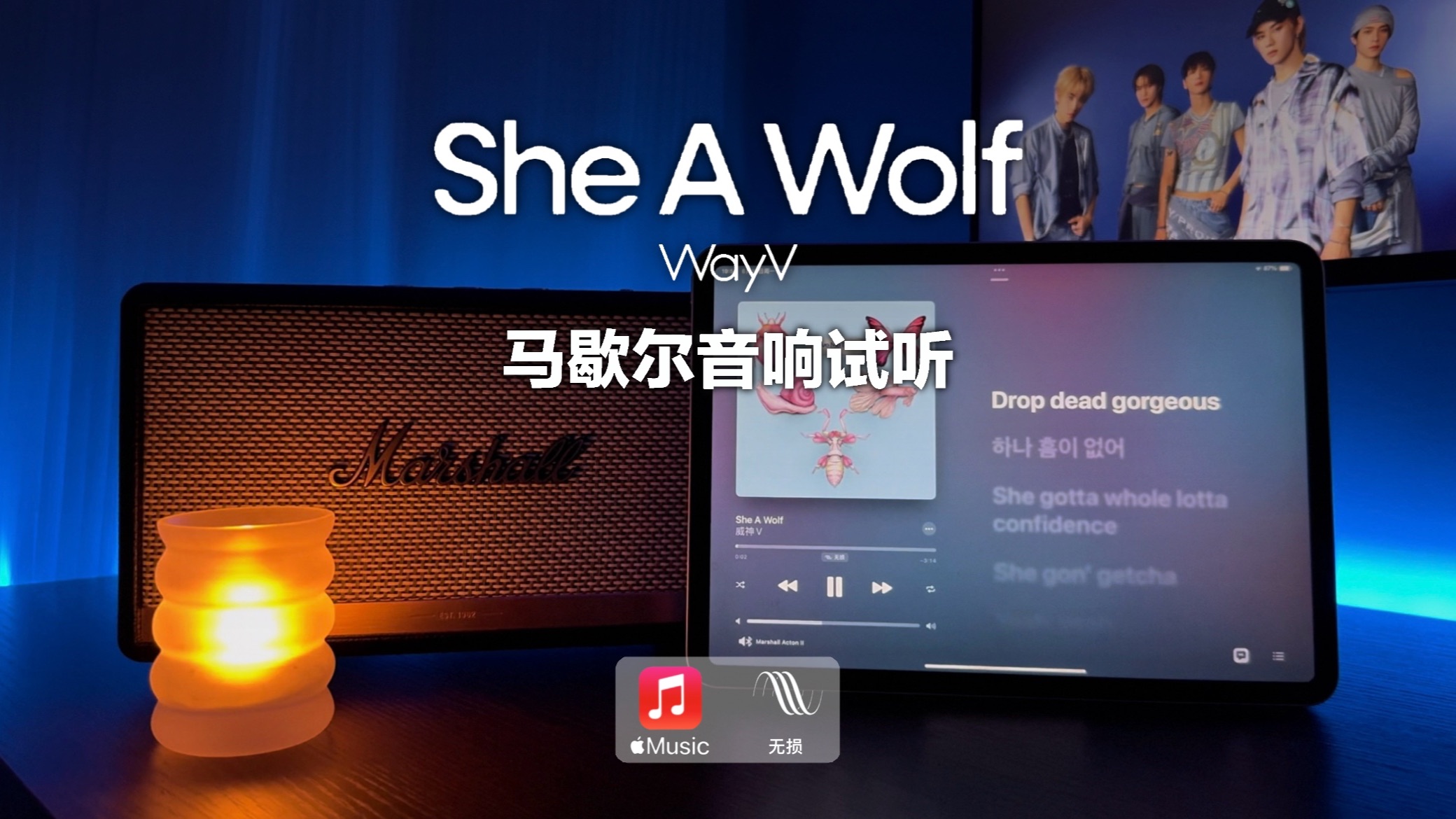 马歇尔音响试听|she a wolf - wayv (威神v)