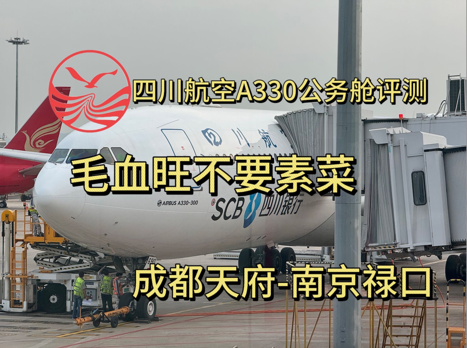 四川航空A330公务舱天府机场两舱休息室测评 毛血旺不要素菜这你受的了吗?喂猪航空实锤 成都天府南京禄口哔哩哔哩bilibili