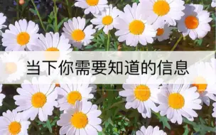 Download Video: 【牧羊人】你当下需要知道的信息