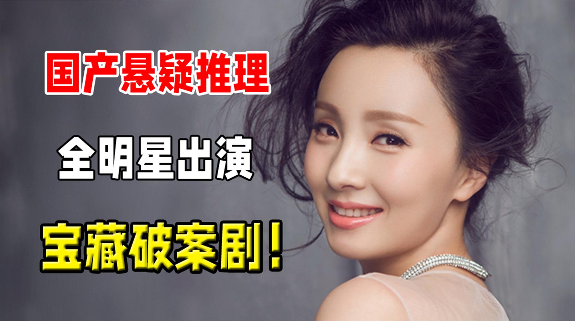 同床异梦,相互算计,全明星出演的宝藏破案剧!又挖到了一部好剧