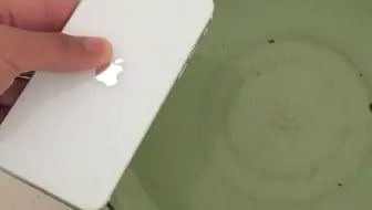 Iphone Se防水测试 哔哩哔哩 Bilibili