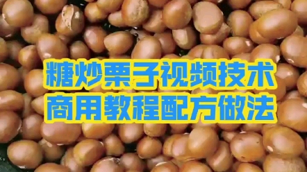 商用糖炒栗子视频技术配方做法商用糖炒板栗技术视频教程配方做法步骤操作哔哩哔哩bilibili