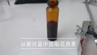 从常见植物中提取花青素 一种酸碱指示剂 哔哩哔哩 Bilibili