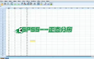 Download Video: SPSS--正态分布