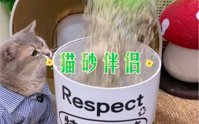 猫砂盆里撒点猫砂伴侣,不仅除臭还能防潮,猫砂也能耐用哔哩哔哩bilibili