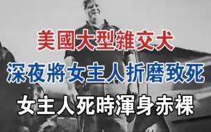 Download Video: 美国大型杂交犬，深夜将女主人折磨致死，女主人死时浑身赤裸#大案纪实#刑事案件#案件解说