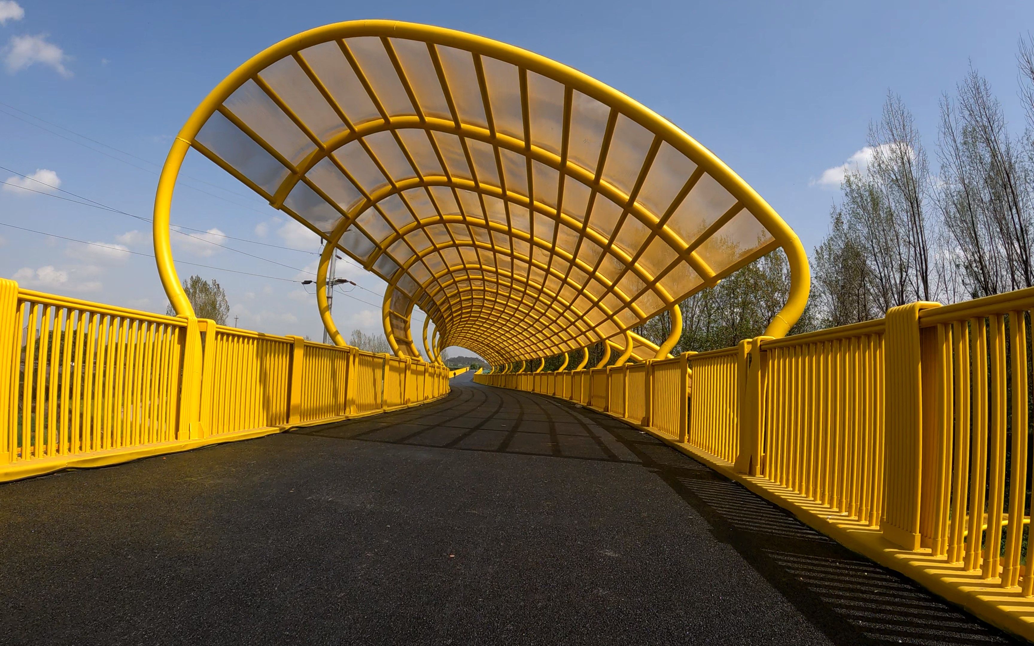 成都市锦城绿道周末骑行