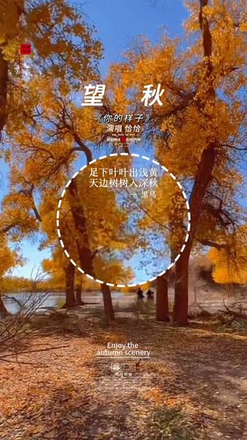 【望秋】足下叶叶出浅黄,天边树树入深秋|背景音乐《你的样子》|大美新疆|哔哩哔哩bilibili