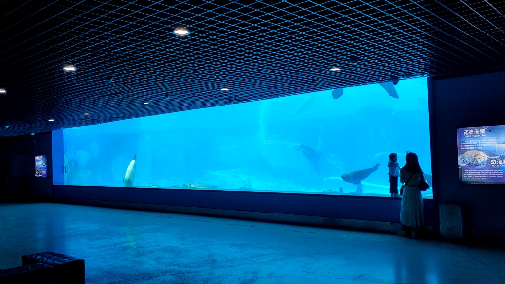 上海潜凯海洋工程专注大型鱼缸定制厂家亚克力鱼缸设计施工超大型鱼缸