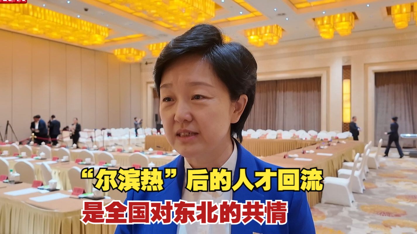 陈宇辉代表:"尔滨热"后的人才回流是全国对东北的共情