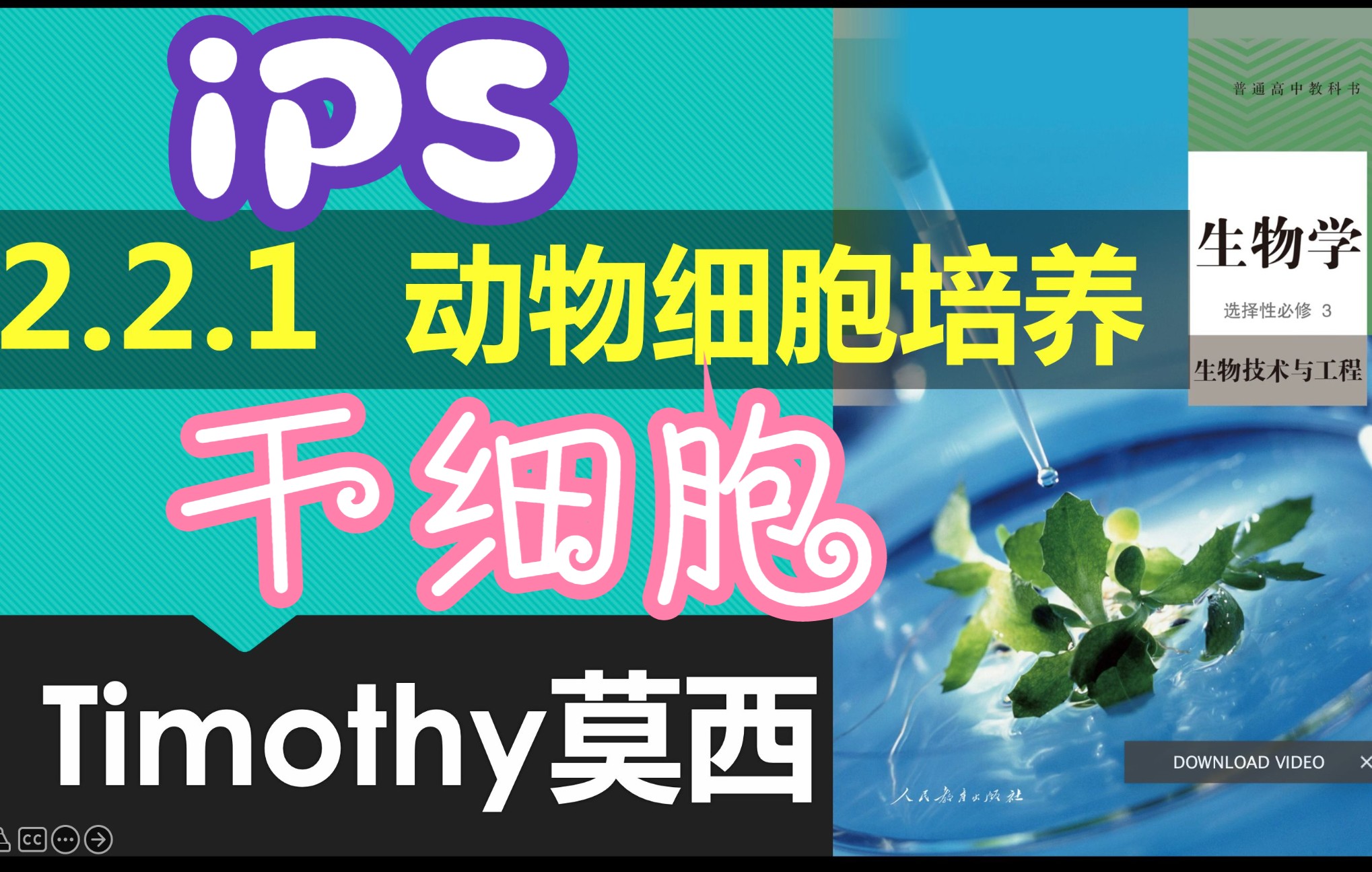 [图]【选择性必修3】2.2.1-2干细胞培养及应用习题选修3生物技术与工程人教版统编教材高中生物学2020新课改新课标新高考理综