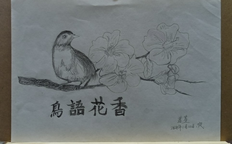 鸟语花香,素描