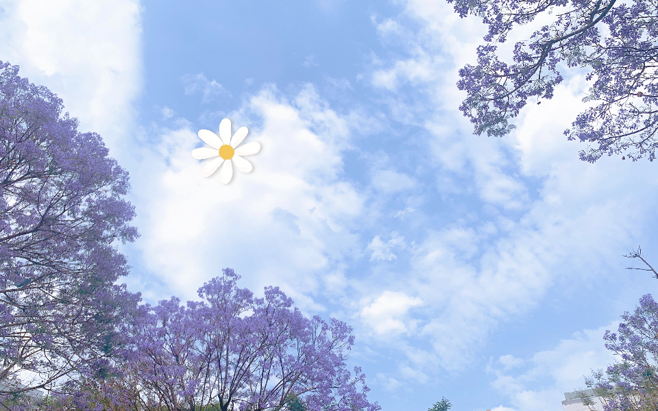 活动  四月/春天 记录春日风景