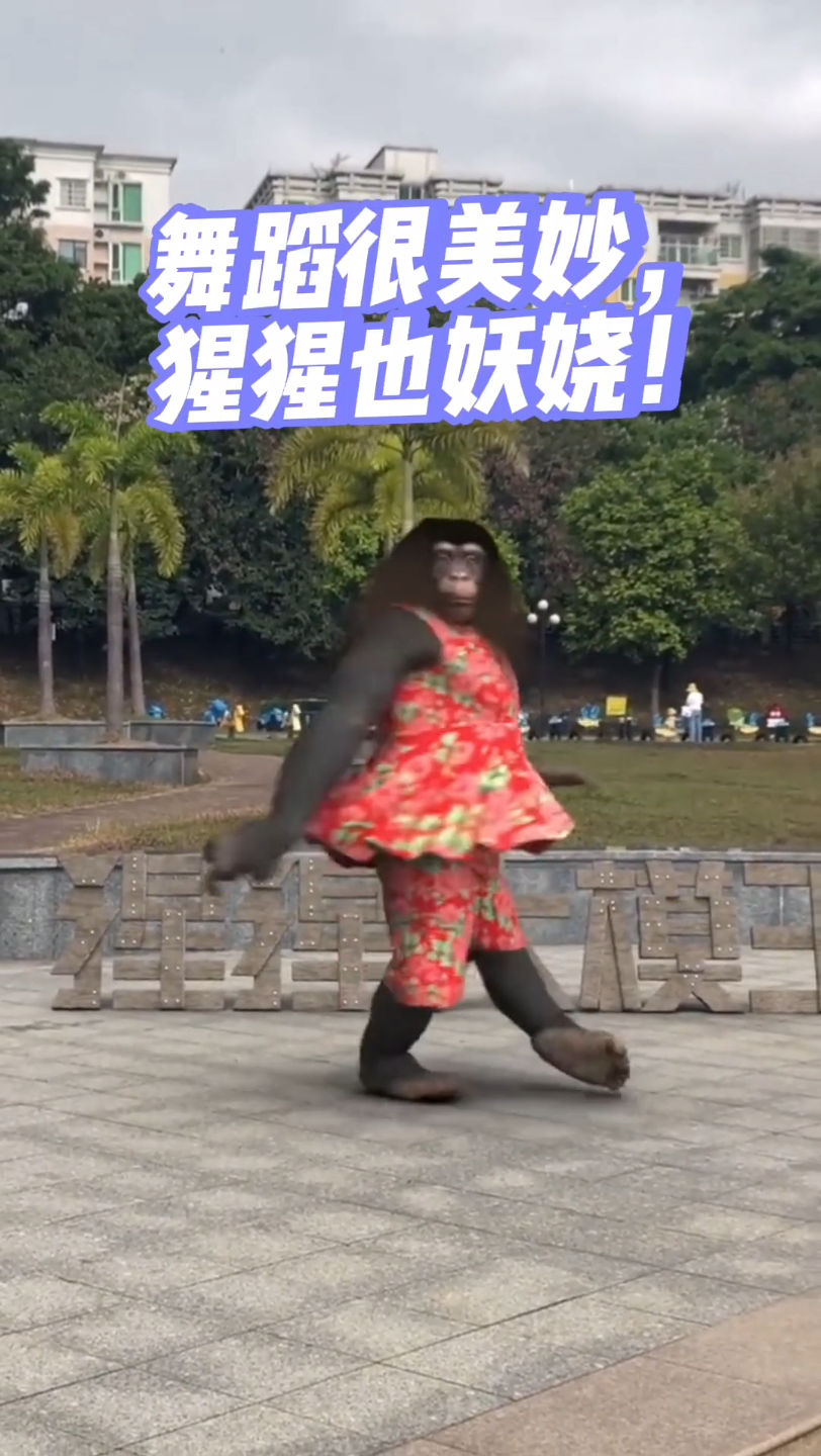 舞蹈很美妙,猩猩也妖娆