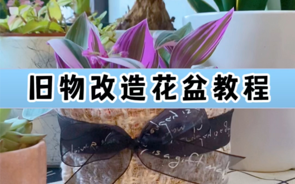 DIY独一无二的花盆「旧物改造花盆教程」哔哩哔哩bilibili