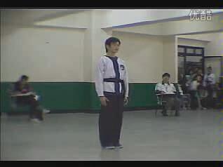 心意六合拳　陶子鴻 心意六合拳- 京东