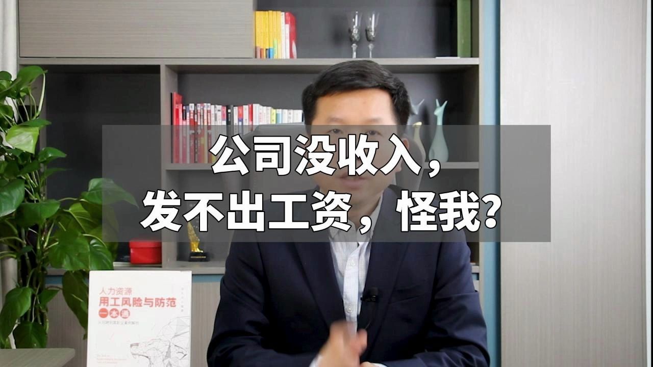 公司没收入,发不出工资,怪我?哔哩哔哩bilibili