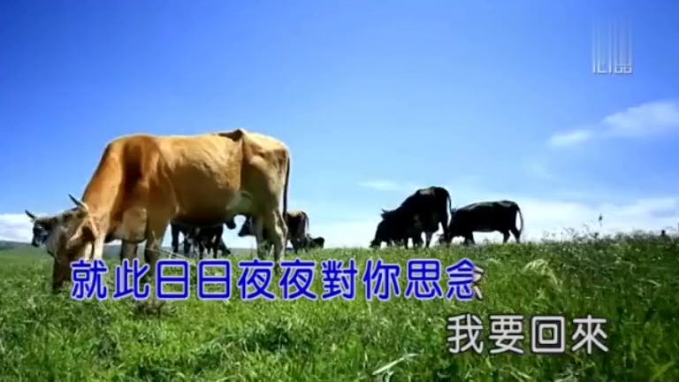 [图]【MV】乌兰托娅 - 朝圣者的脚步