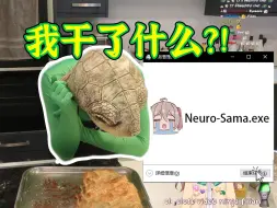 下载视频: 【Neuro/Vedal做饭回】出生Vedal感谢Neuro不杀之恩后为了下播反手杀死了Neuro的进程