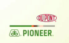 DuPont Pioneer Pollination: Processes and Procedures 杜邦先锋授粉指哔哩哔哩bilibili