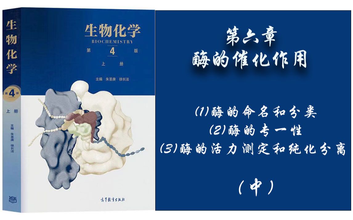 39.生物化学  第六章 (1)酶的命名和分类;(2)酶的专一性;(3)酶的活力测定和纯化分离.  中哔哩哔哩bilibili