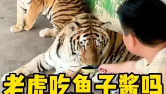 下次直接投喂工资卡吧。