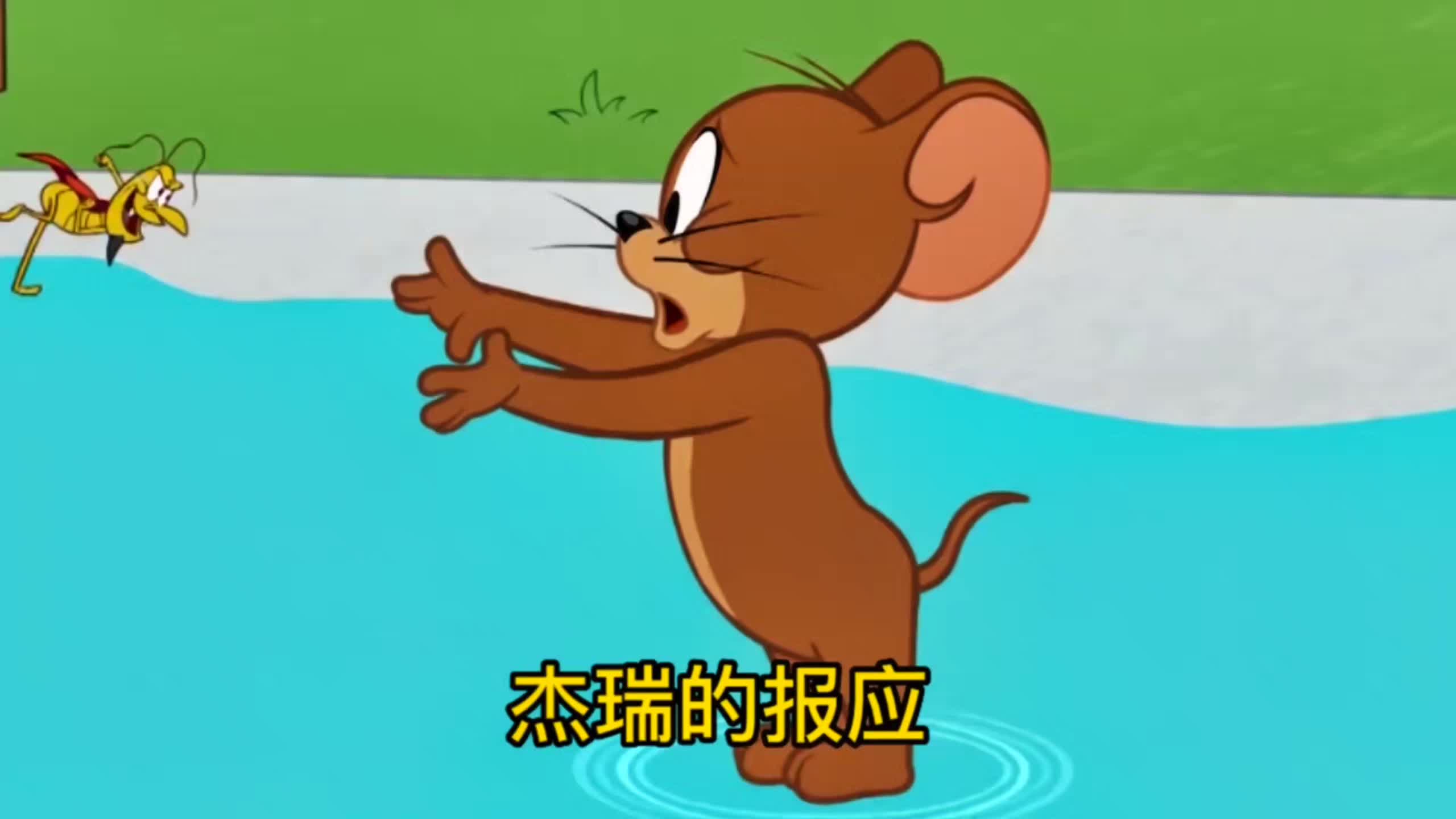 猫和老鼠:#动画视频 #搞笑动画 #猫和老鼠 杰瑞的报应.