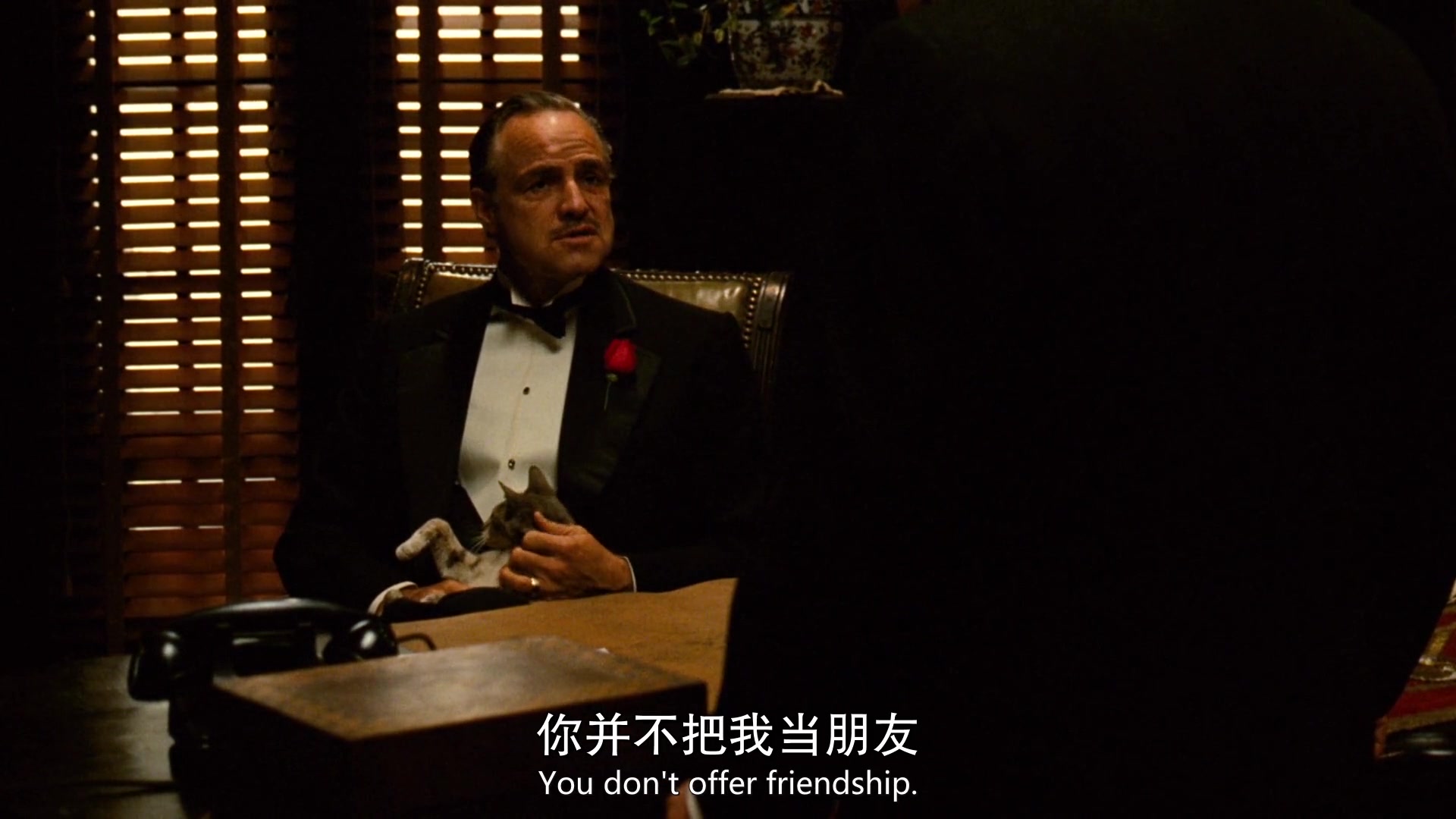 [图]教父《The.Godfather》男人必看的圣经，经典开场6分钟！全程高能