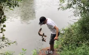 Скачать видео: 野钓：清早钓4条还跑了2条大货，视频再次见证，跑掉的才是最大的