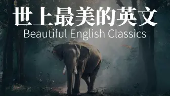 世上最美的英文(精选收藏合集), 适合朗读和练听力