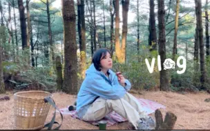 Download Video: VLOG/冬日、大理、森林里捡松果⋆⁺₊჻  𖥧𓇣逛古城菜场｜奇奇怪怪水果体验｜大理omakase｜路边烧鸟