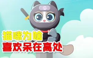 Tải video: 猫咪为什么都喜欢在高处待着呢？