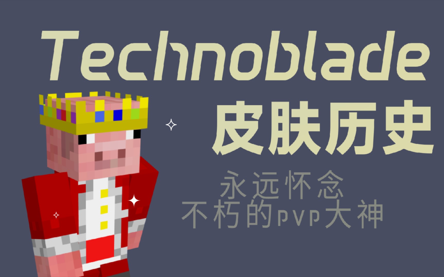 technoblade用过的皮肤_谨此纪念