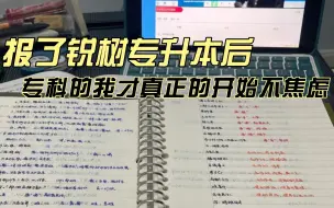 报了锐树专升本后，专科的我才真正的开始不焦虑