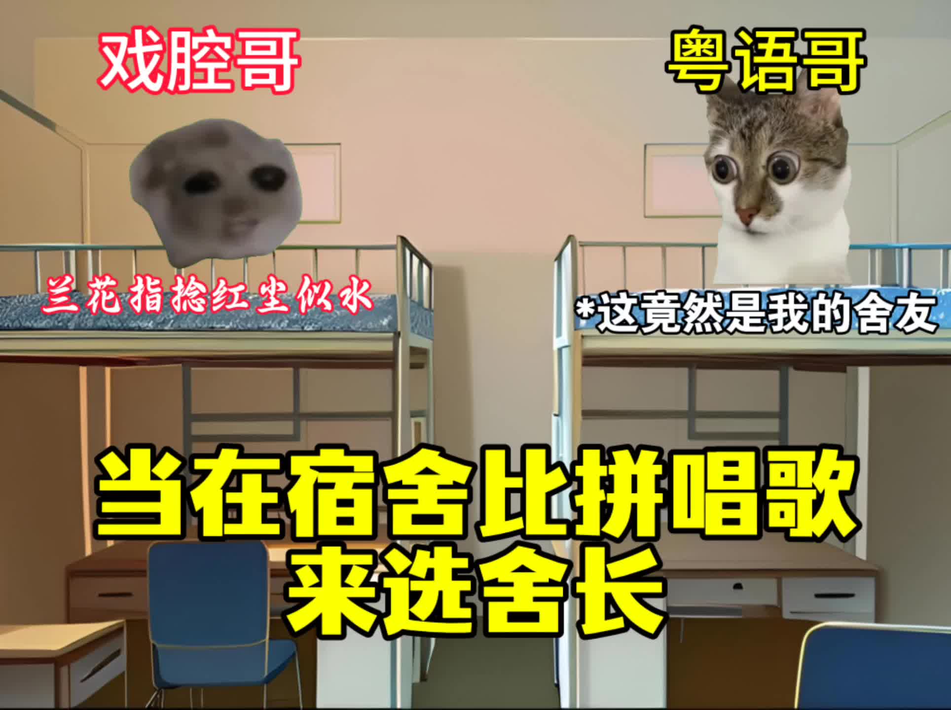 当在宿舍比拼唱歌来选舍长-猫meme日常方式-猫meme日常方式-哔哩哔哩视频