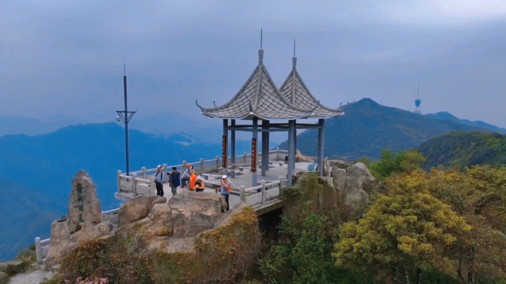梧桐山上十里杜鹃