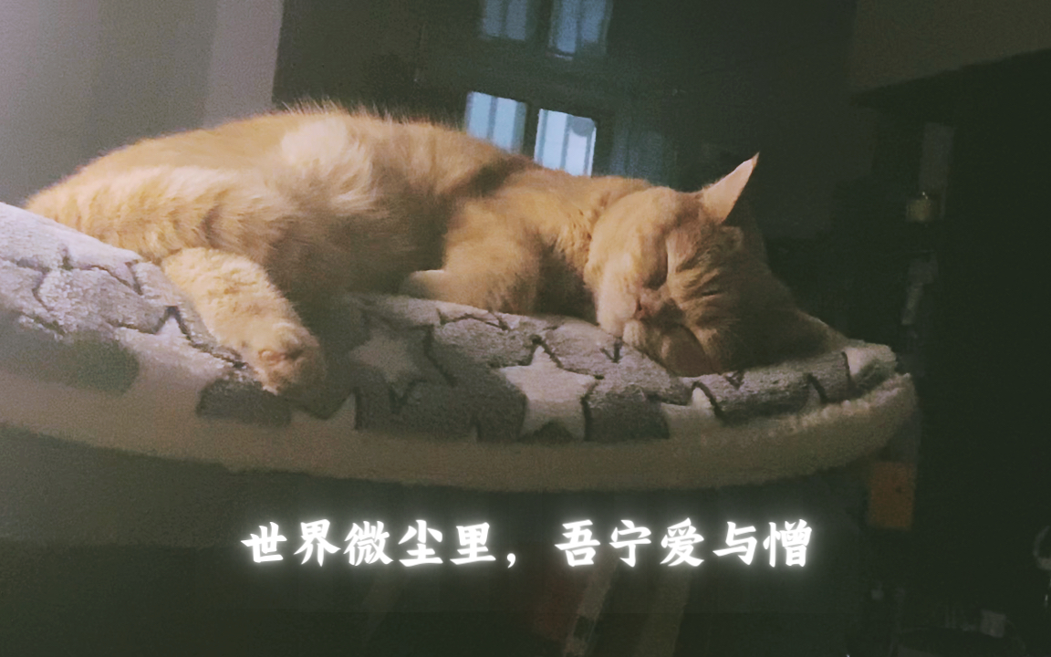 世间万物,一切皆空