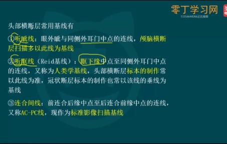 [图]2023年放射医学技术师考点精讲班人体影像解剖网课—零丁学习网